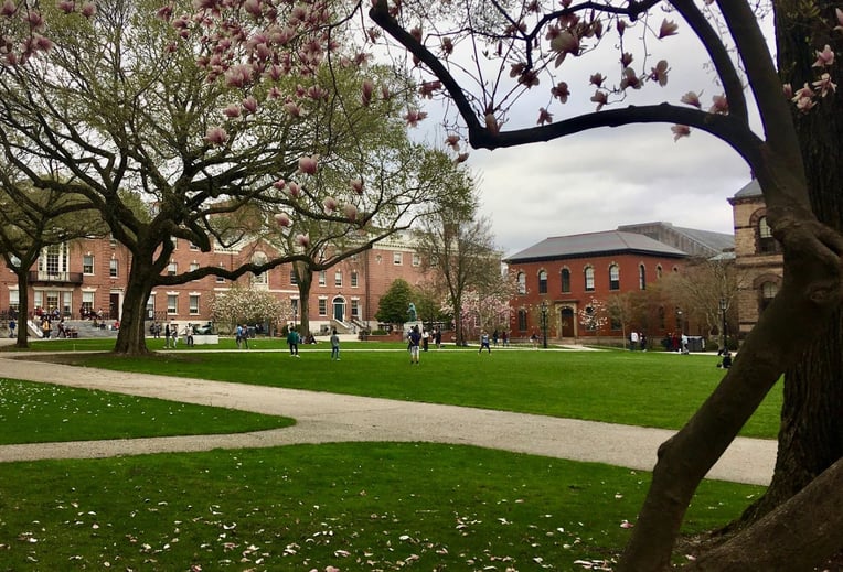 buildings with people on grass