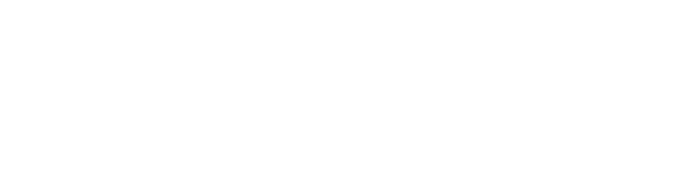 City of Birmingham logo